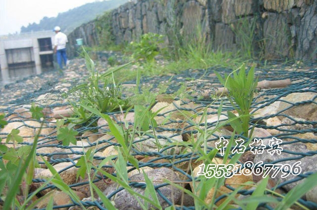 PVC覆塑生態格網護墊